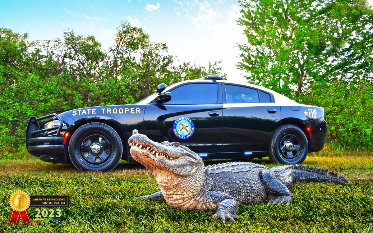 FLHSMV's tweet photo. America has chosen the Florida Highway Patrol’s cruiser as the Best-Looking Cruiser for the last three years in a row. No matter the cruiser, the “Black-and-Tan” is always in style. With just a couple of hours left of voting, we are just a few votes away from being first! Show your Florida pride and how much you support your Florida State Troopers by voting “Florida” at https://t.co/138vLNs7eQ.