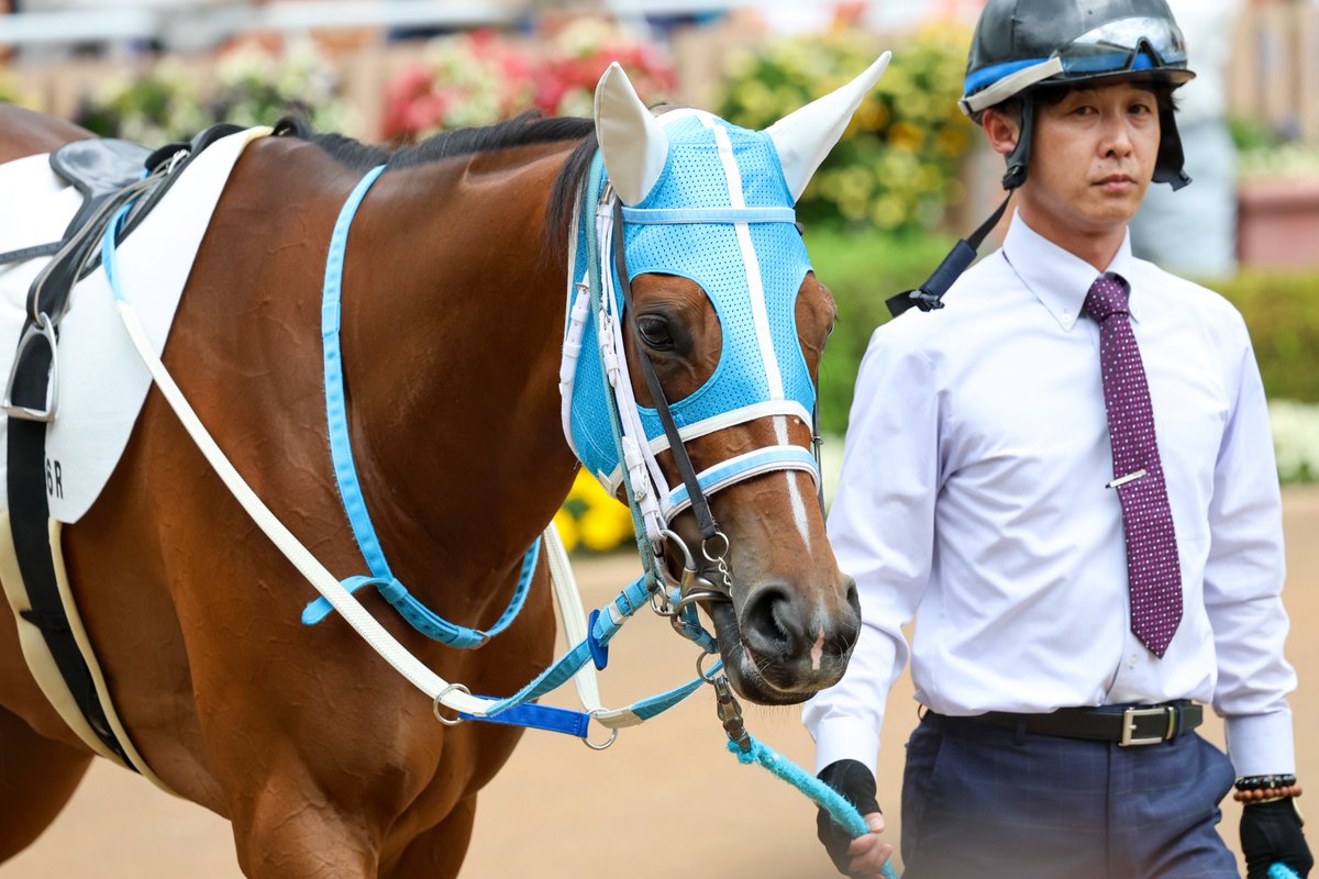 mint_chestnut's tweet photo. 2026/6/27  函館6R  3歳未勝利
#ファントムグレース
#遠藤汰月 騎手 https://t.co/QXyPlYBPgn