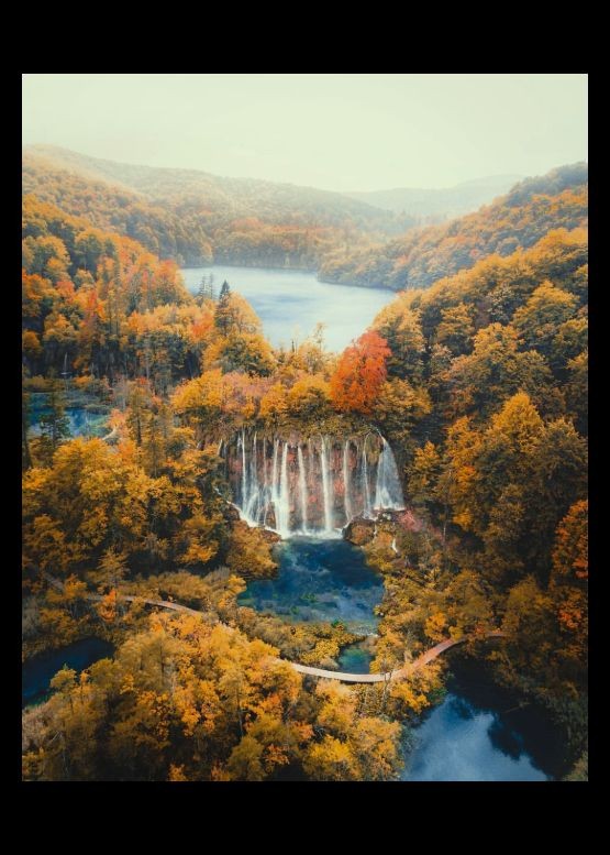 think_tom's tweet photo. Immersing in forest scenery relaxes tense nerves completely. The fresh air mixed with plant fragrance cleanses the confused mind, and the lush natural scenery relieves all pressure accumulated from long-term work and life.🐈
Be a good friend to everyone.499471 https://t.co/E2MTlXjIpy