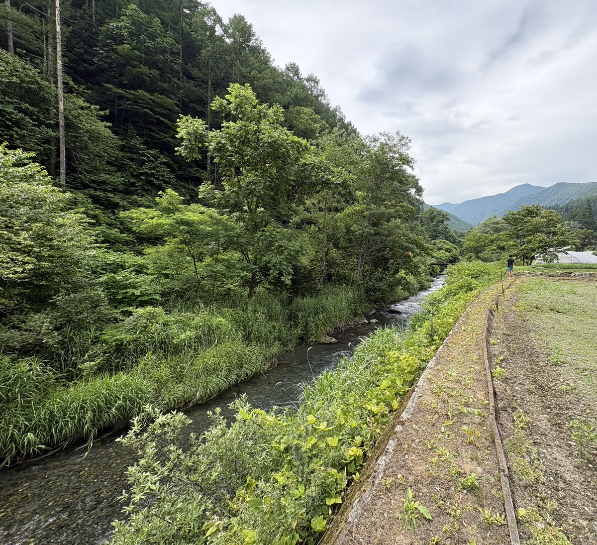 Shinonome_hm's tweet photo. 購入予定の土地を下見してきました🐻🪧
全部で約600坪🌳

山が近くて川も流れていて、景色が最高✨

野菜や果樹を育てながら、のんびり使えそう🥬🍅🍯

気づいたら農家になってるかもしれない😇

また買ったらご報告します🐻📣 https://t.co/851FYVe5ba