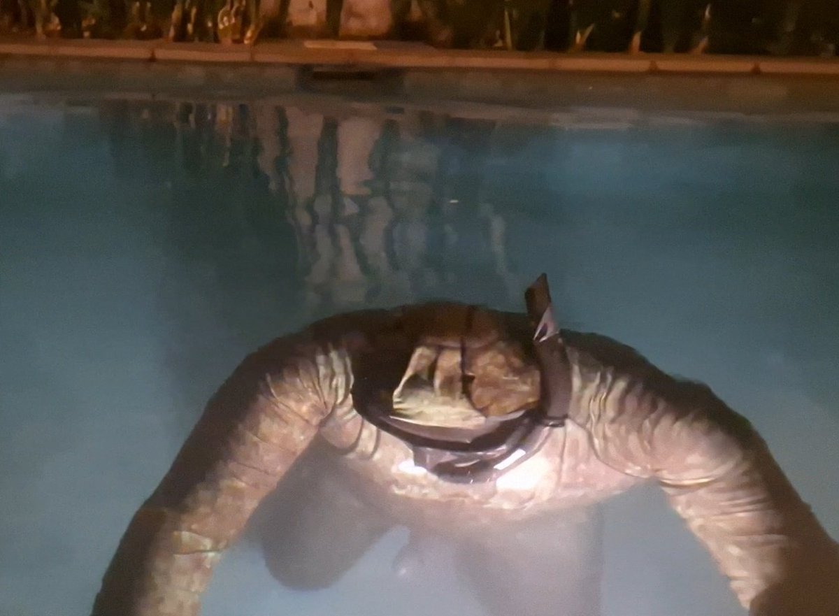 Master_Rudro's tweet photo. Master Rudro in Pool Villa #2. Night 3

Rudro tried to wear camoflage fullbody rashguard over rubberized skin.
so feels rubberized skin inside, mimics humanized wearing outside.
It is pool training for public safety. https://t.co/hLj0xUqz1X