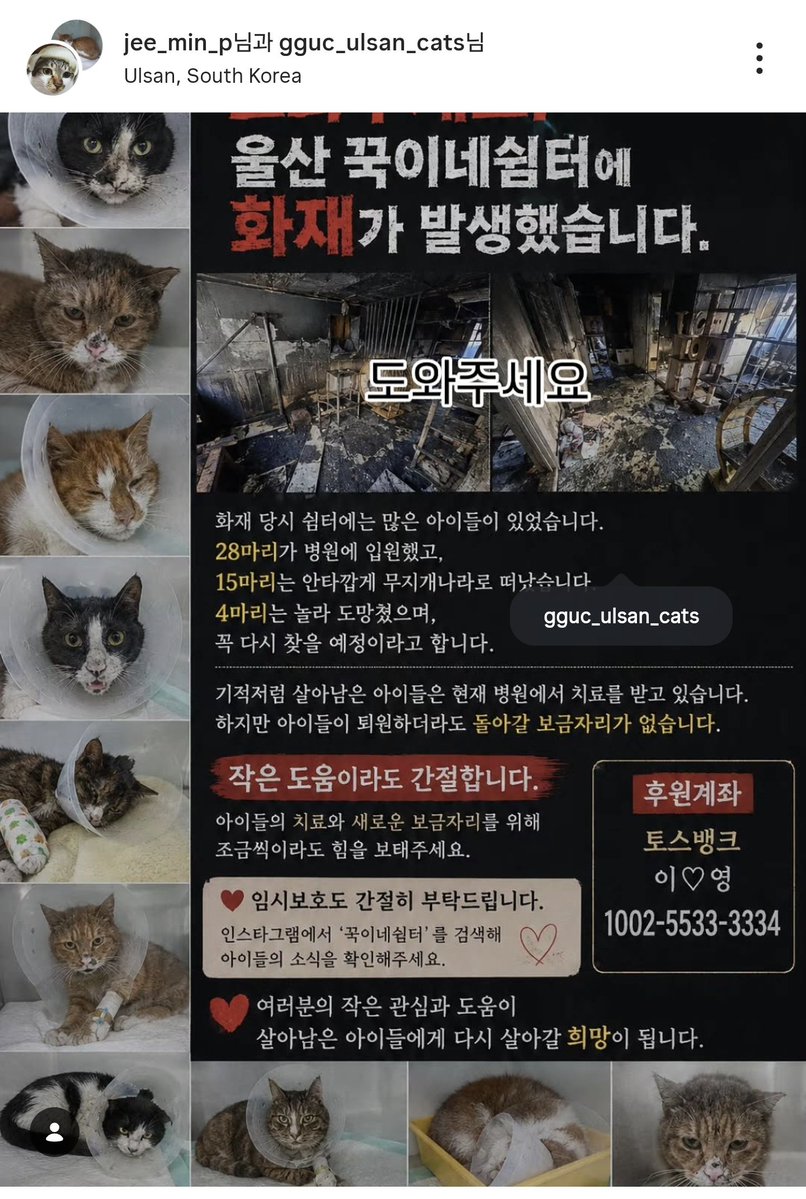 ๋จ๐ tweet media