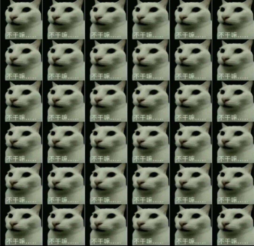 YZMeaPHIfg2GcgP's tweet photo. When the office printer suddenly starts belting out 10 copies of cat memes at 9 a.m. and our whole team’s productivity just vanished into laughter.， https://t.co/xl2YYIdKMR