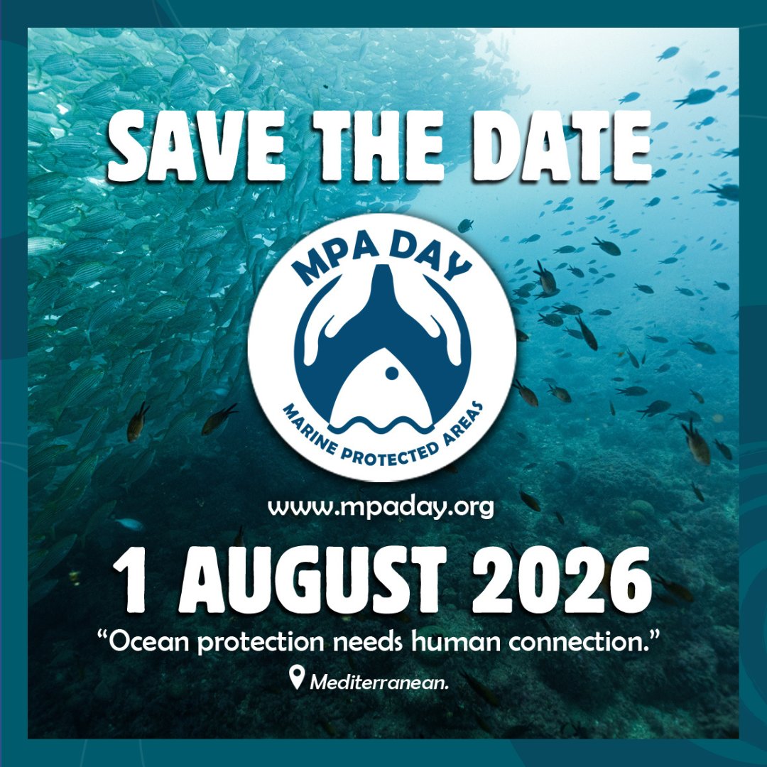 UNOceanDecade's tweet photo. Join us on 1 August to celebrate #MPADay!
Endorsed by the #OceanDecade, this global celebration of marine protected areas brings together communities, organisations and governments to inspire action for ocean protection.
👉https://t.co/4V9zNGB9Rs
#LetsTalkMPAs https://t.co/iqe2e3oRWE