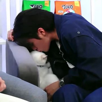 willyest4everr's tweet photo. 😭😭😭😭😭😭 https://t.co/CmVj3JSYlU