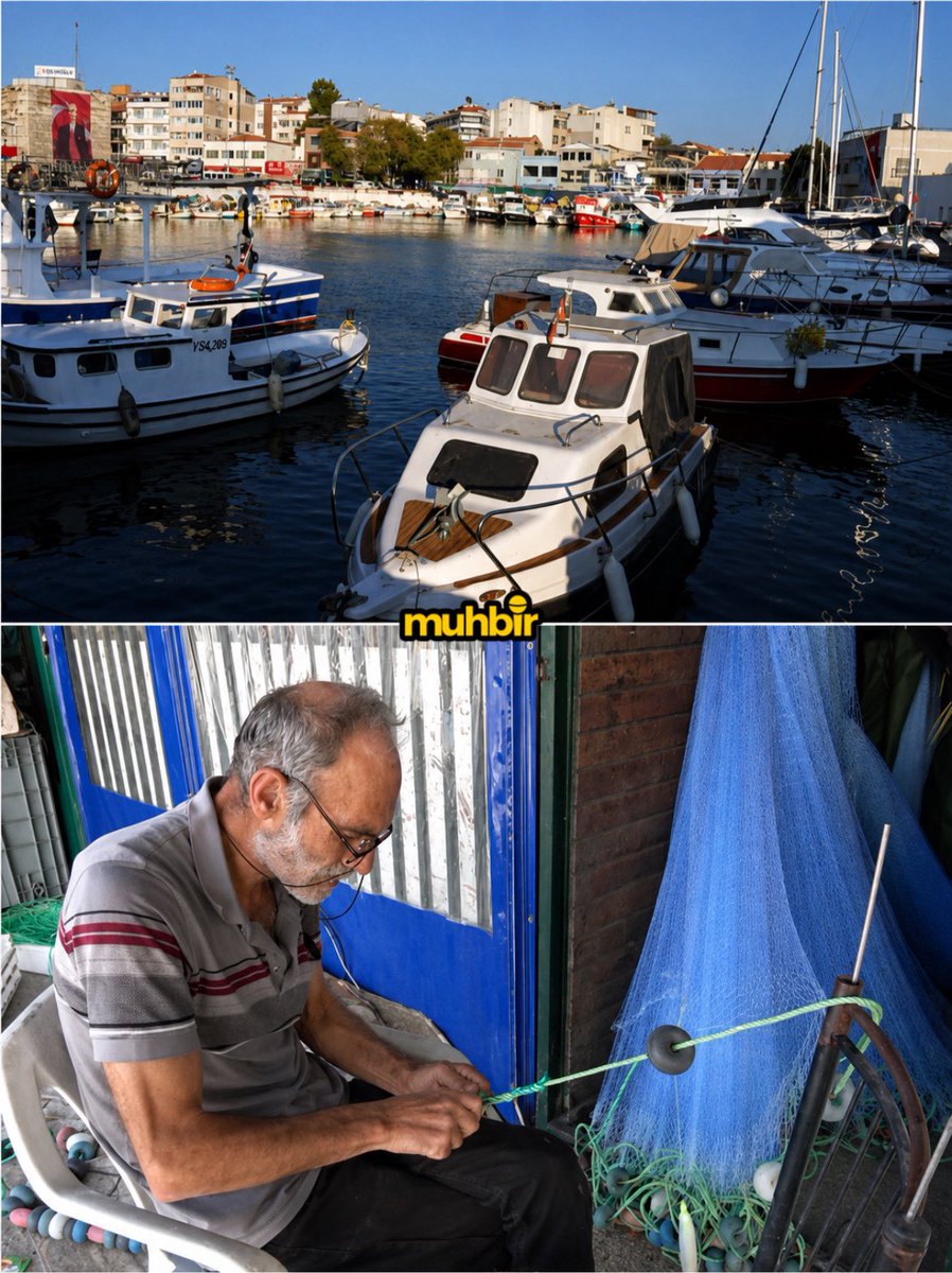 Marmara Denizi'nde Balık Krizi Derinleşiyor: Fiyatlar İstikrarsız, Stoklar Azalıyor