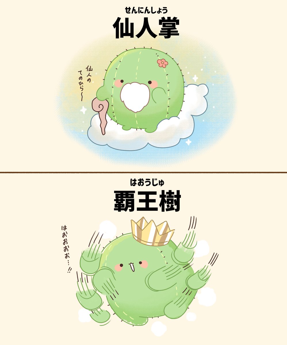 サボテンの別名を知ってますか？