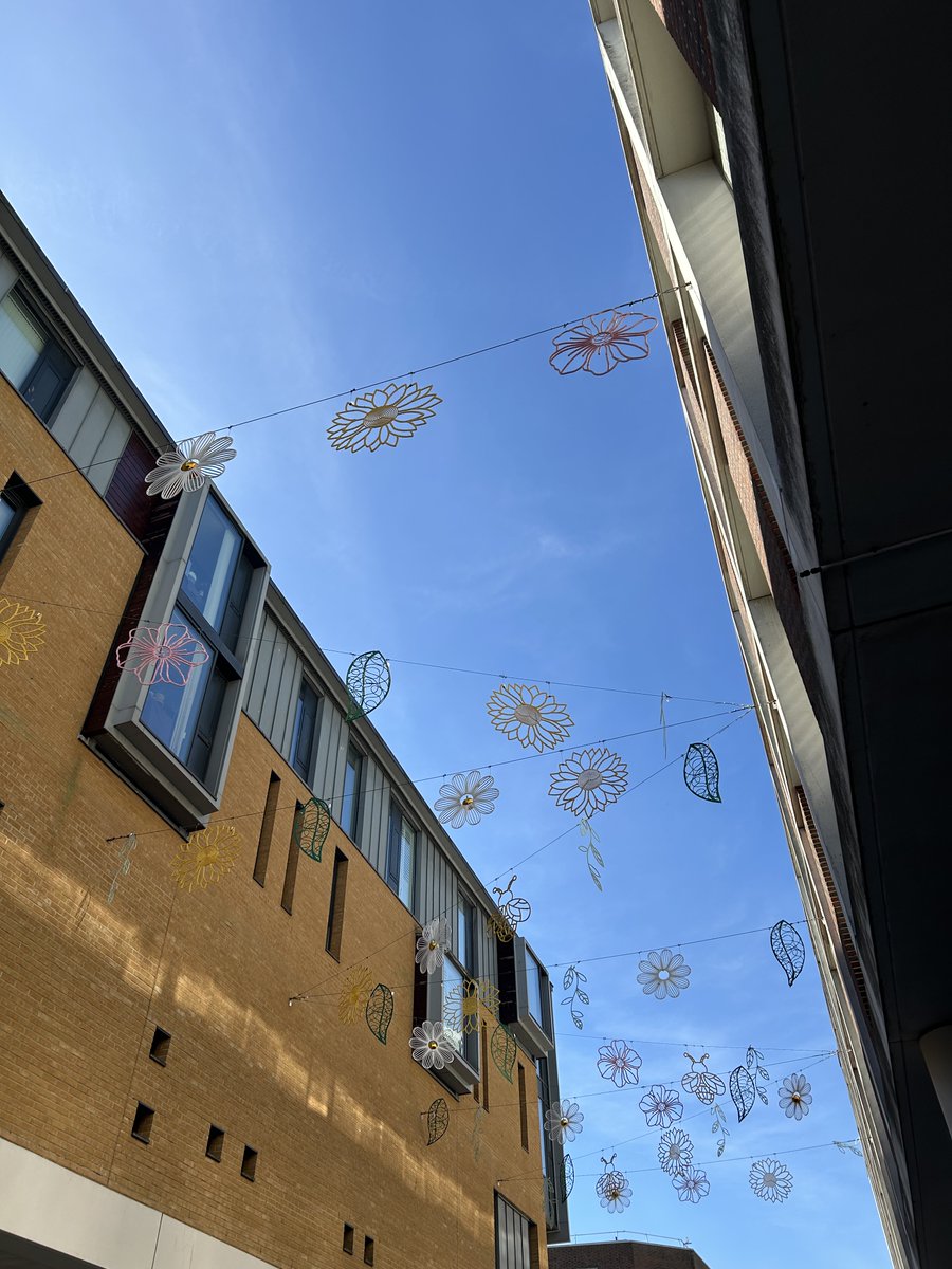 blachereuk's tweet photo. Shimmering in the sun, our 2026 @Princesshay Summer installation creates an inviting, bright and colourful atmosphere. ☀️🍃

The overhead canopy of décor glistens in the sunlight, bringing a vibrant touch of summer.

♻️ Using 100% eco-friendly materials, all 100% recyclable. https://t.co/cwLithAQBL
