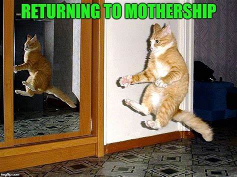 Katattack2006 tweet picture