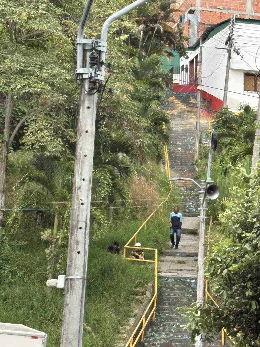 Mariasfe's tweet photo. Alcaldía de Bucaramanga, En el barrio los pino, se necesita más control y principalmente continuidad en la poda del lote. https://t.co/oppGX1outT
