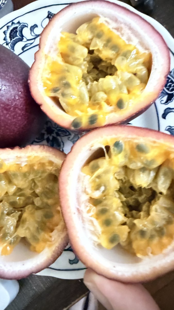 TAMIren730's tweet photo. パッションフルーツは 子供の頃の大好物でしたが大人になってから食べると...え？え？ちょ待って、なんか違う💦
#八丈島のパッションフルーツが恋しい https://t.co/O1uLH22V9Y