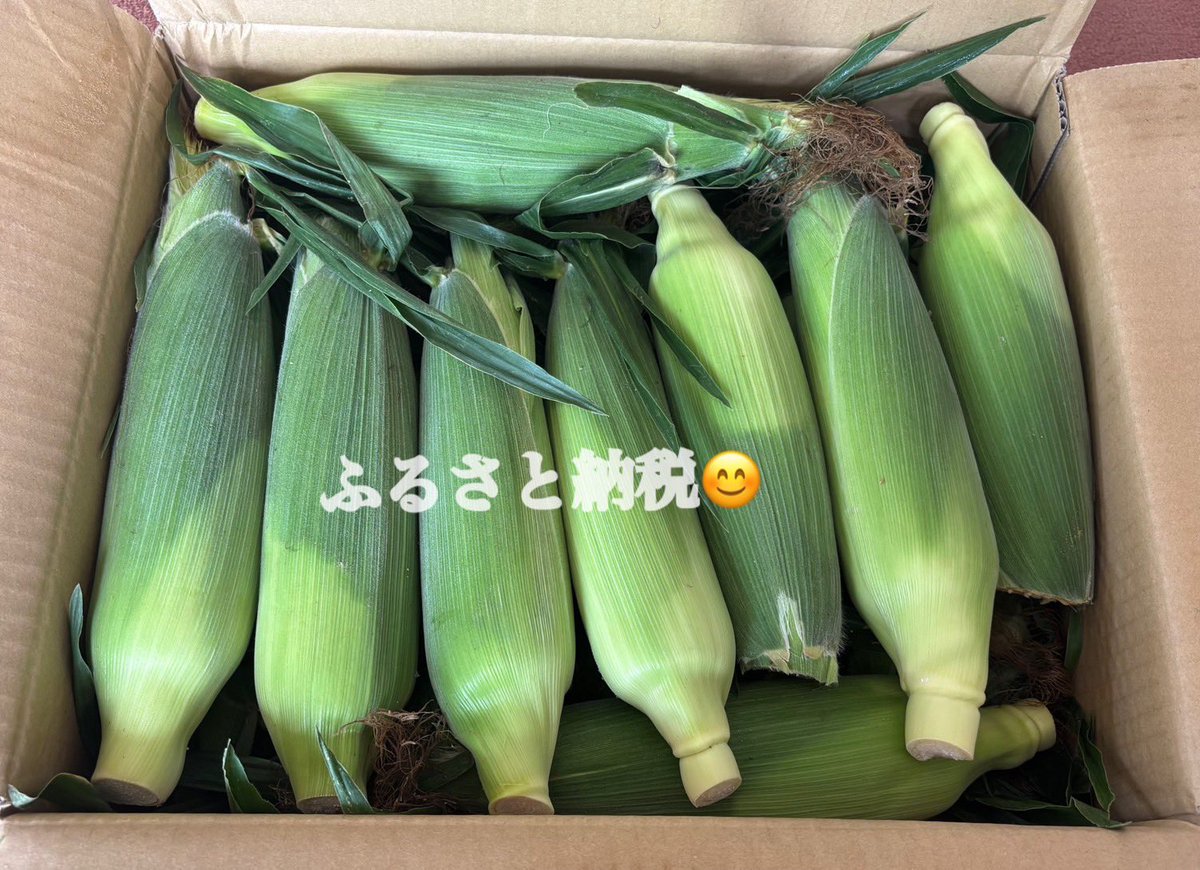 saetateki's tweet photo. #ふるさと納税　#とうもろこし
#甘い　#ジューシー
#美味しい　#旬のもの https://t.co/Yd7gYpqMKZ