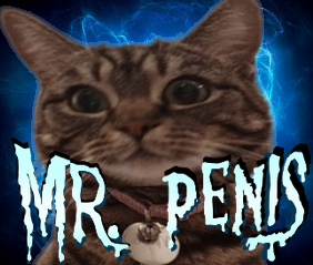maple_the_syrup's tweet photo. mr, peniz hater's will saye, ,its fake!!, https://t.co/1jihFjIQbI