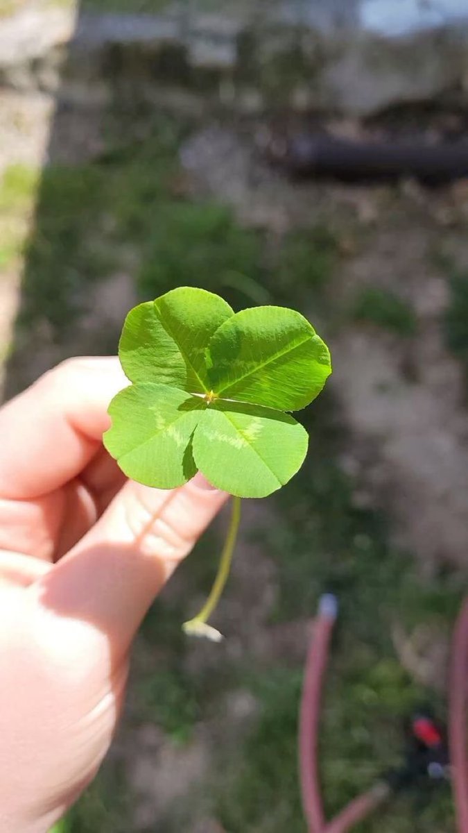 pozitifevibe's tweet photo. NO BAD LUCK IN JULY
NO BAD LUCK IN JULY
NO BAD LUCK IN JULY
NO BAD LUCK IN JULY
NO BAD LUCK IN JULY
NO BAD LUCK IN JULY
NO BAD LUCK IN JULY
NO BAD LUCK IN JULY https://t.co/pq5bK28wkm