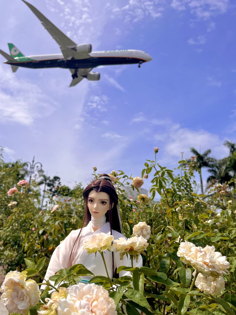 ab101327's tweet photo. 特地為了「天官賜福 天地流光展」跑台北，想說來都來了，就去其他地方逛逛😆
就去了臺北玫瑰園拍照，拍照時還剛好有飛機飛過去✈️

#天官賜福 #謝憐 #花城 #めい撮り #tgcf  #heavenofficialsblessing #天官賜福アニメ #謝憐 #謝怜 #xielian  #花城 #huacheng https://t.co/iy0qh4u0JZ
