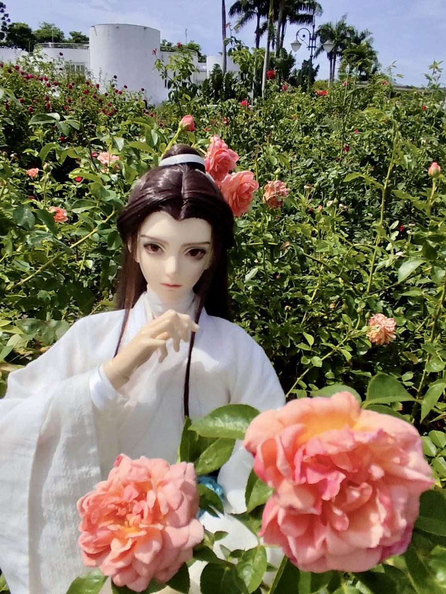 ab101327's tweet photo. 特地為了「天官賜福 天地流光展」跑台北，想說來都來了，就去其他地方逛逛😆
就去了臺北玫瑰園拍照，拍照時還剛好有飛機飛過去✈️

#天官賜福 #謝憐 #花城 #めい撮り #tgcf  #heavenofficialsblessing #天官賜福アニメ #謝憐 #謝怜 #xielian  #花城 #huacheng https://t.co/iy0qh4u0JZ