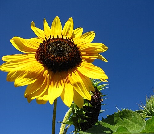 Erica Verrillo tweet media