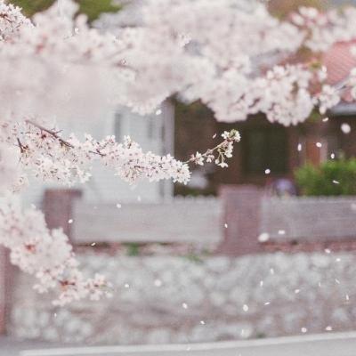 NavedQu73659274's tweet photo. Success begins with staying focused. Steps like new ventures build momentum. Small steps build lasting confidence. Consistent effort turns aspirations into reality. It’s the core of sustained success. 💦 🌸 🚀 https://t.co/kVd8Qw6TiL