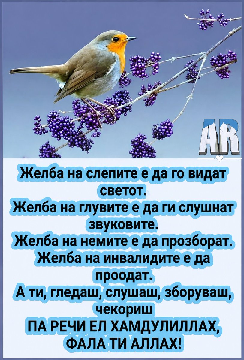 tucaroski's tweet photo. https://t.co/MxhsNIBZds