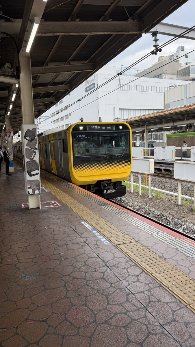 kumakakan919's tweet photo. 錦糸町駅にてまさかの来客が😨
#e235 https://t.co/wCOuxovljT