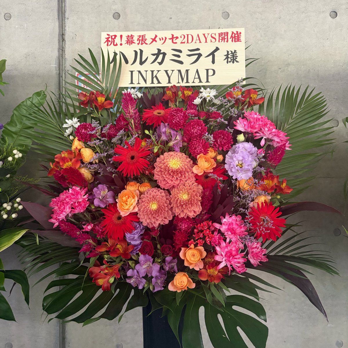 rocky__bin's tweet photo. ハルカミライ２日間本当に最高だった
幸せすぎて大余韻🥹💖
またすぐ会えますように

そんで小松ありがとう😭😭 https://t.co/0Gh6HaYjxB
