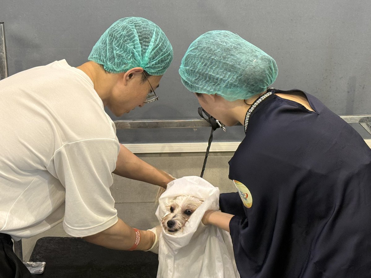 cscecksa202510's tweet photo. As part of our commitment to community engagement and social responsibility, our team participated in a meaningful volunteer activity at a local animal shelter. We hope we can provide more assistance! Join us in accompanying and caring for animals！ https://t.co/GftqZtFEOX