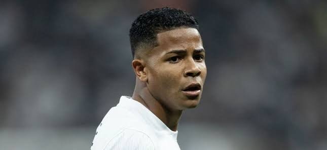 rodriguesˢᶜᶜᵖ tweet media