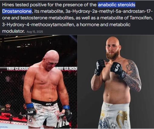 Finz Chats MMA tweet media