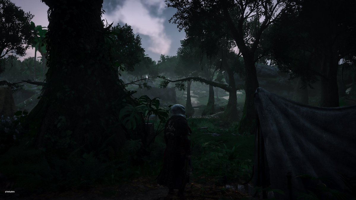 ThatGuyRetro23's tweet photo. Assassin’s Crews Black Flag 
#ACFinest https://t.co/Sq2t0b7mKd