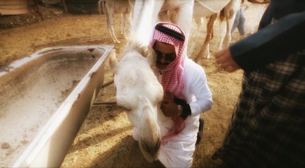 iOSAMAA6's tweet photo. انتهت المحطة الأولى وانا اشعر بتأنيب ضمير لأن ابها لا يكفيها شهر او سنه لتغطيتها ، ولكن السلسلة وقوانينها تجبرنا على الانتقال للمحطه الأخرى لتغطية المملكة . 
شكراً لكم كنتم اجمل جزء في هذي الرحلة ❤️ https://t.co/F4v8MWeL86