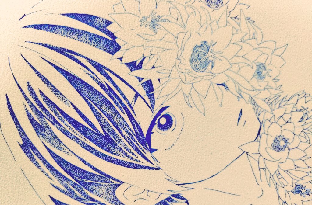 suzumebachiko's tweet photo. 🌵 https://t.co/queveRKdAB