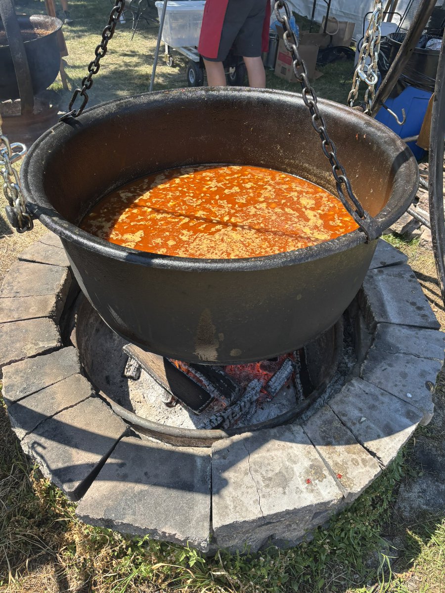Davidszomorr's tweet photo. Hungarian Guylas festival of Chicago was a blast. So grateful for the strong diaspora community. 🇭🇺 https://t.co/w36DozaAIi
