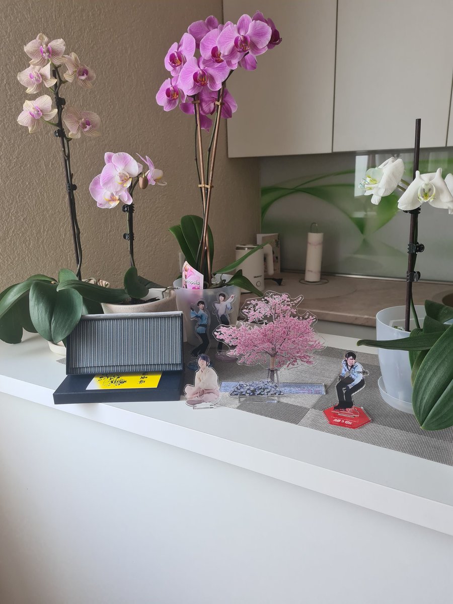 ElisaNovijedini's tweet photo. #LoveYuzuruFromAllOverTheWorld
#羽生結弦
 #YuzuruHanyu

What a surprise and what joy in my home, thanks to the wonderful
@andraparaschiv7 
Thank you is not enough to express my feelings 🌸🌸
Yuzury brings people together; a wonderful gift... https://t.co/ETn6waWa7r