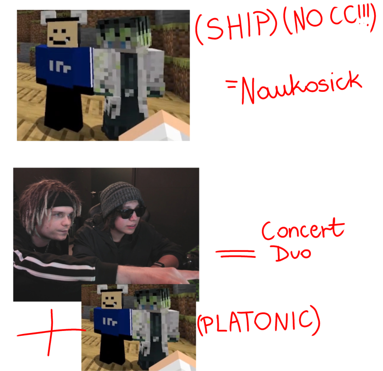 sillentvamp's tweet photo. Some people need to see this because I swear to fucking god if I see one more person shipping the ccs I will do backflip on my neck 
#naukosick #concertduo #qsmp2 #quackity #multi https://t.co/Hc3SLiGhGA