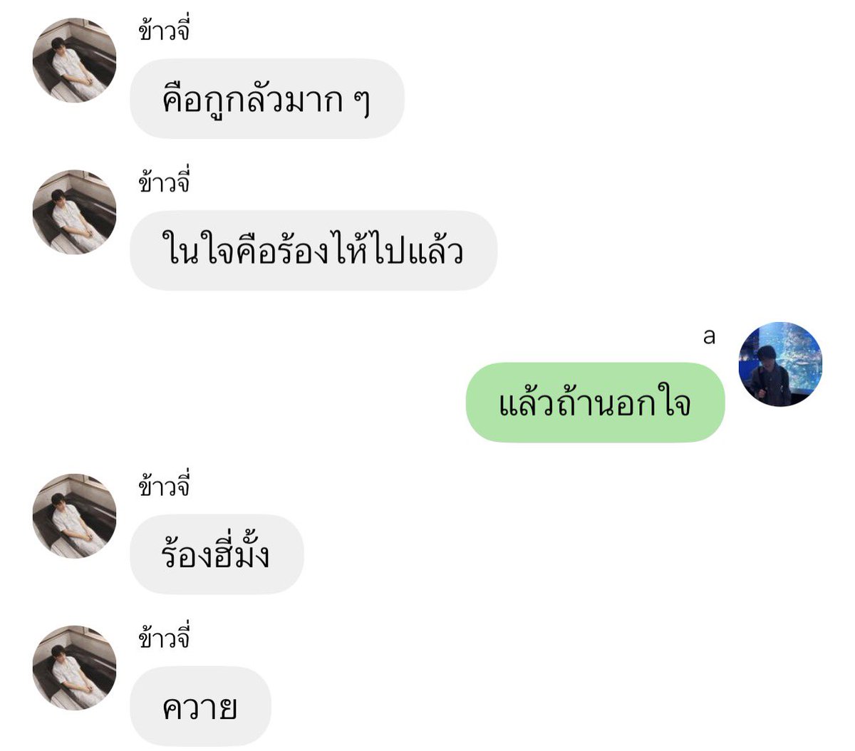 juliepnevermind's tweet photo. แต่ละมุกที่ไหลออกมาจากสมองกุ https://t.co/KPzzfg3tjd
