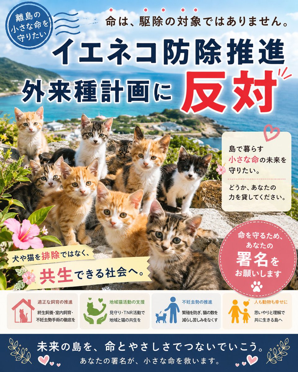 sonnyaonwanko tweet picture