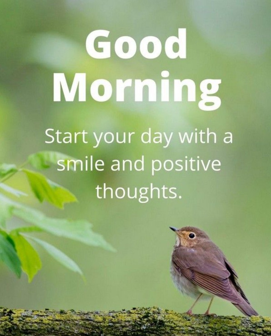 Angie92218ff's tweet photo. Good morning. May this simple greeting, like the first ray of sunlight, gently shine into your heart. No matter how tired you were yesterday, you deserve to be treated with kindness today.and you deserve to give it your all https://t.co/SPsZAO6KnJ
