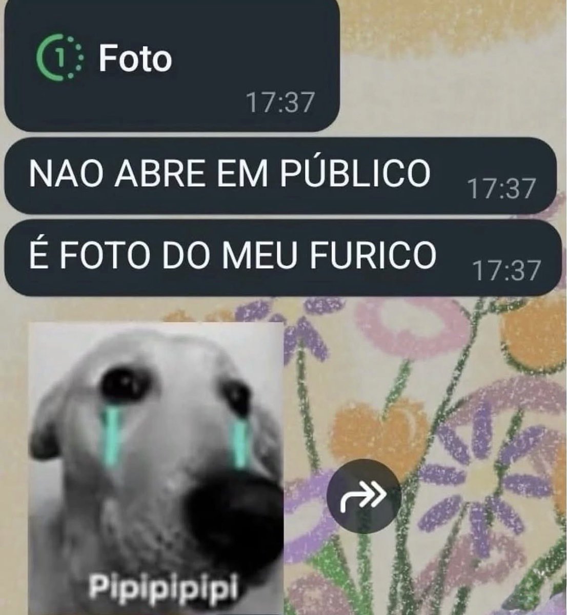 humor que o Maicon faria se nao fosse a militancia tweet media