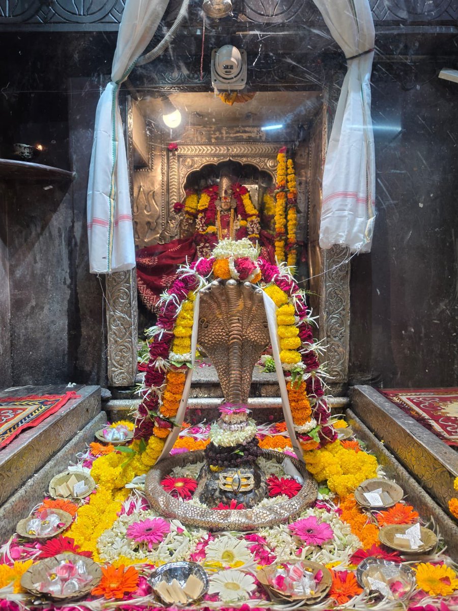 12Jyotirling's tweet photo. श्री ॐकारेश्वर ज्योतिर्लिंग संध्याकालीन आरती श्रृंगार | 13.07.2026

Shri Omkareshwar Jyotirlinga Evening Aarti Shringar | 13.07.2026 https://t.co/1F8aXmmXpQ