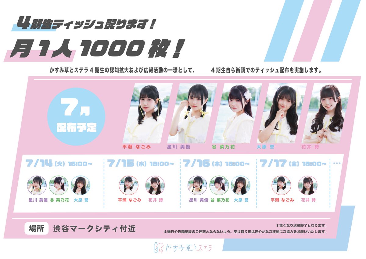 かすみ草とステラ四期生】 この4日間はツヅリカないし、16日(木)は