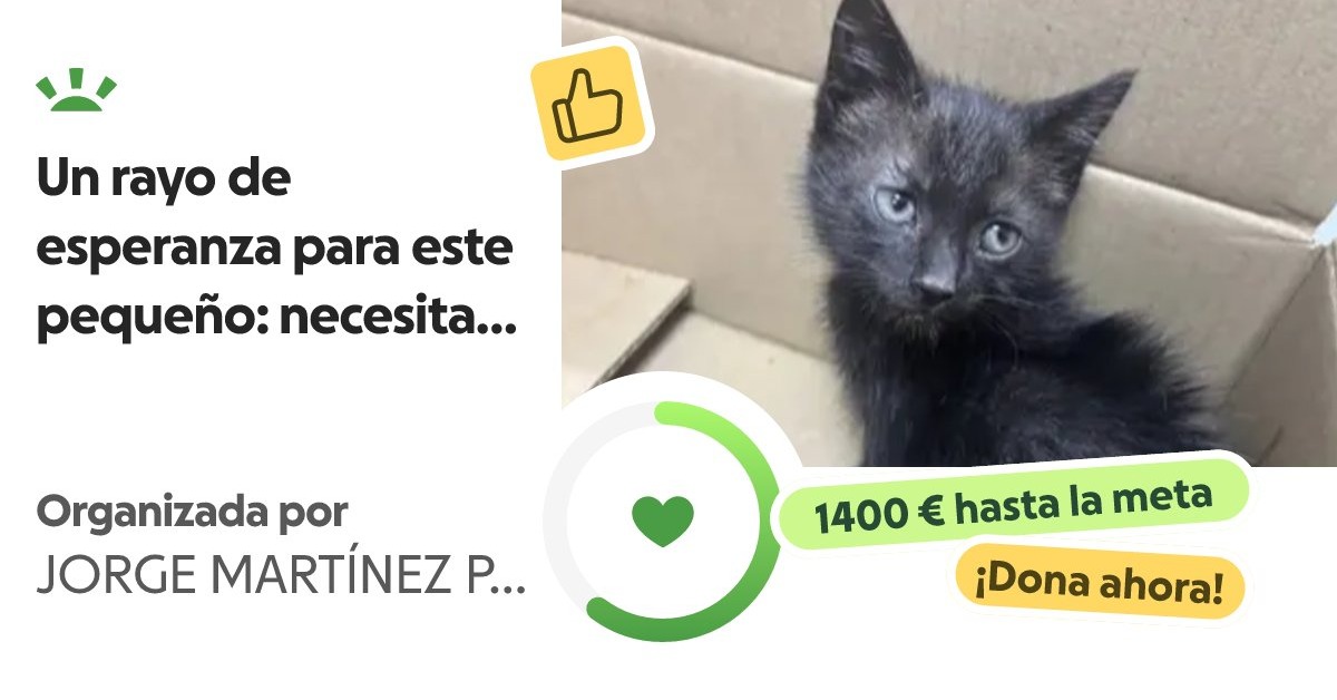 JorgeMart_55's tweet photo. Me da mucho apuro pedir esto,
pero he agotado todos mis
recursos para pagar el tratamiento.
Hoy dependo de vuestra
generosidad. Si podéis hacer una
donación, por pequeña que sea, os
estaré infinitamente agradecido. ❤️