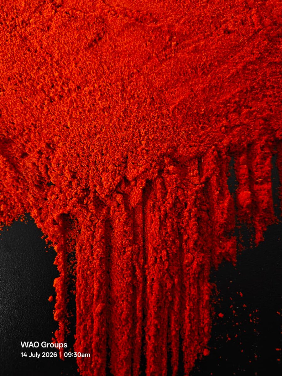 WeAreOcean_'s tweet photo. 14 July 2026 Premium Indian Red Chili Powder available for Export &amp; Domestic Supply.

🇮🇳 Origin: Indian
📍 Guntur, Andhra Pradesh

Ping us more information
📞 +91 79040 83891
🌐 https://t.co/WS14gP6FN6

#RedChiliPowder #ChiliExport #Export #Guntur #India #WeAreOcean #waogroups https://t.co/M7xVqTybMl