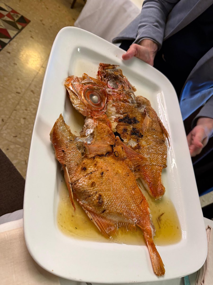 sento94vlc's tweet photo. D’Berto, 📍 O grove https://t.co/Q2KepK0zUw