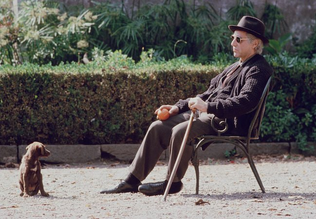gatopreto5000's tweet photo. e quando o Al Pacino falecer, que metade da internet vai postar essa imagem? https://t.co/puJNMDaksl