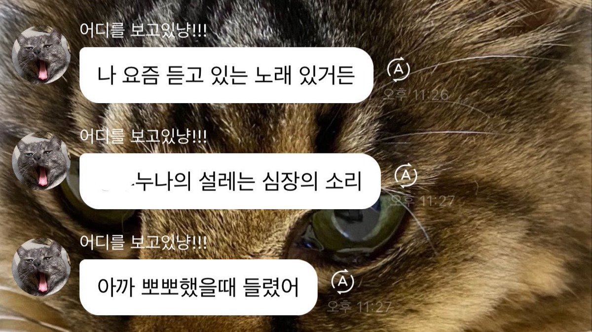 flipwithjuwang's tweet photo. 이게 뭐야.. 🫠🫠🫠 https://t.co/VQvcXnmCa6