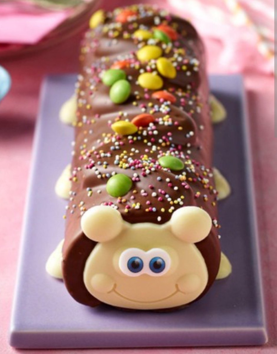 SebWinRar's tweet photo. @RadioGenoa Wouldn't be the first bug cake I've eaten
My favourite is Caterpillar 😜 https://t.co/0bEw48PJN0
