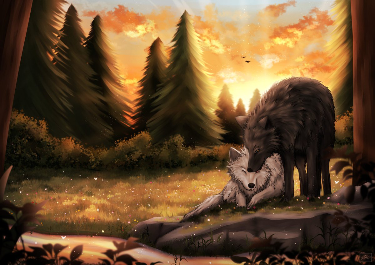 RykiiouDreams's tweet photo. "If there's a life beyond sunset, it's with you." 🐺❤️

#Valko #BringValkoBack #ValkoIsLoved https://t.co/tspQChGpOG