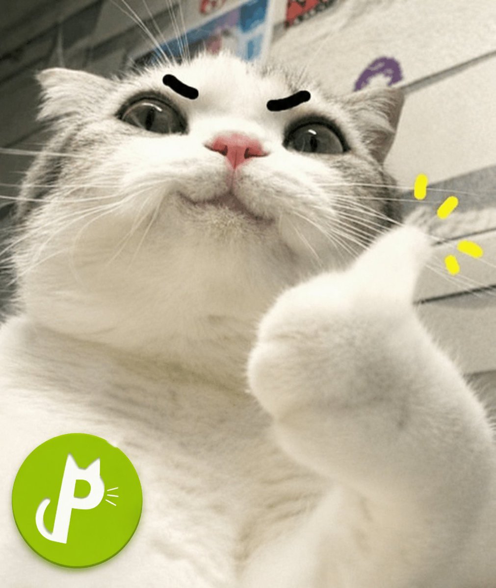 PURRonRH's tweet photo. Robinhood gave us the name

Cats gave us the culture

The community is building everything else

$PURR https://t.co/TRT4szvO67