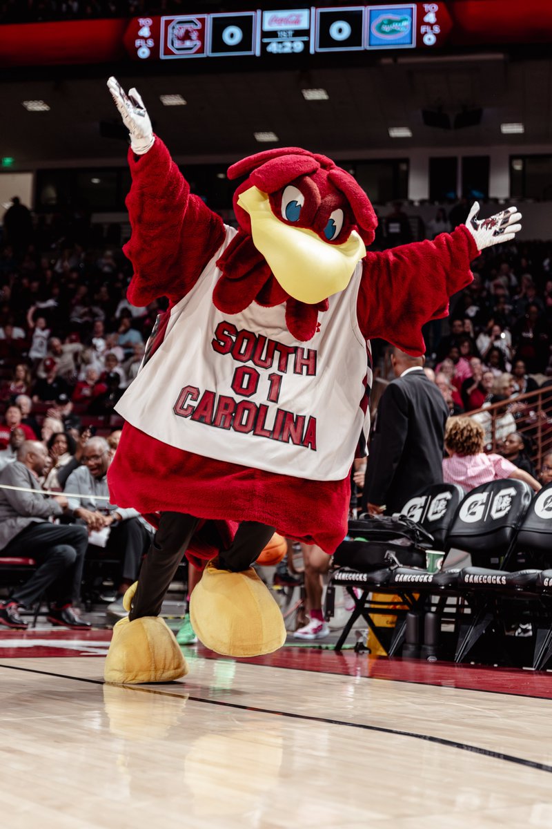 South Carolina Gamecocks tweet media