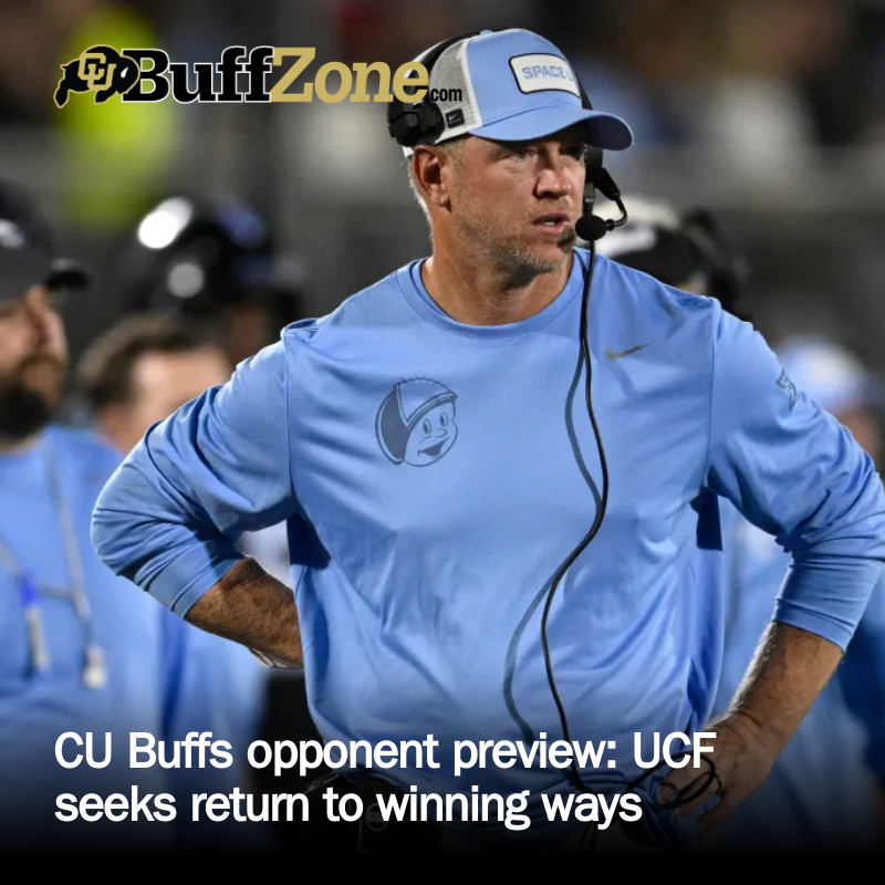 Buffzone tweet media